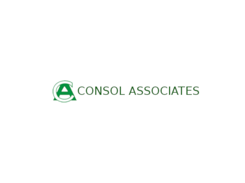 Consol Associates
