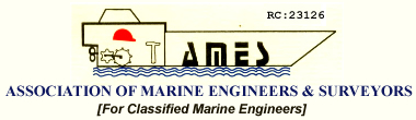 Association of Marine Engineers and Surveyors (Ames)